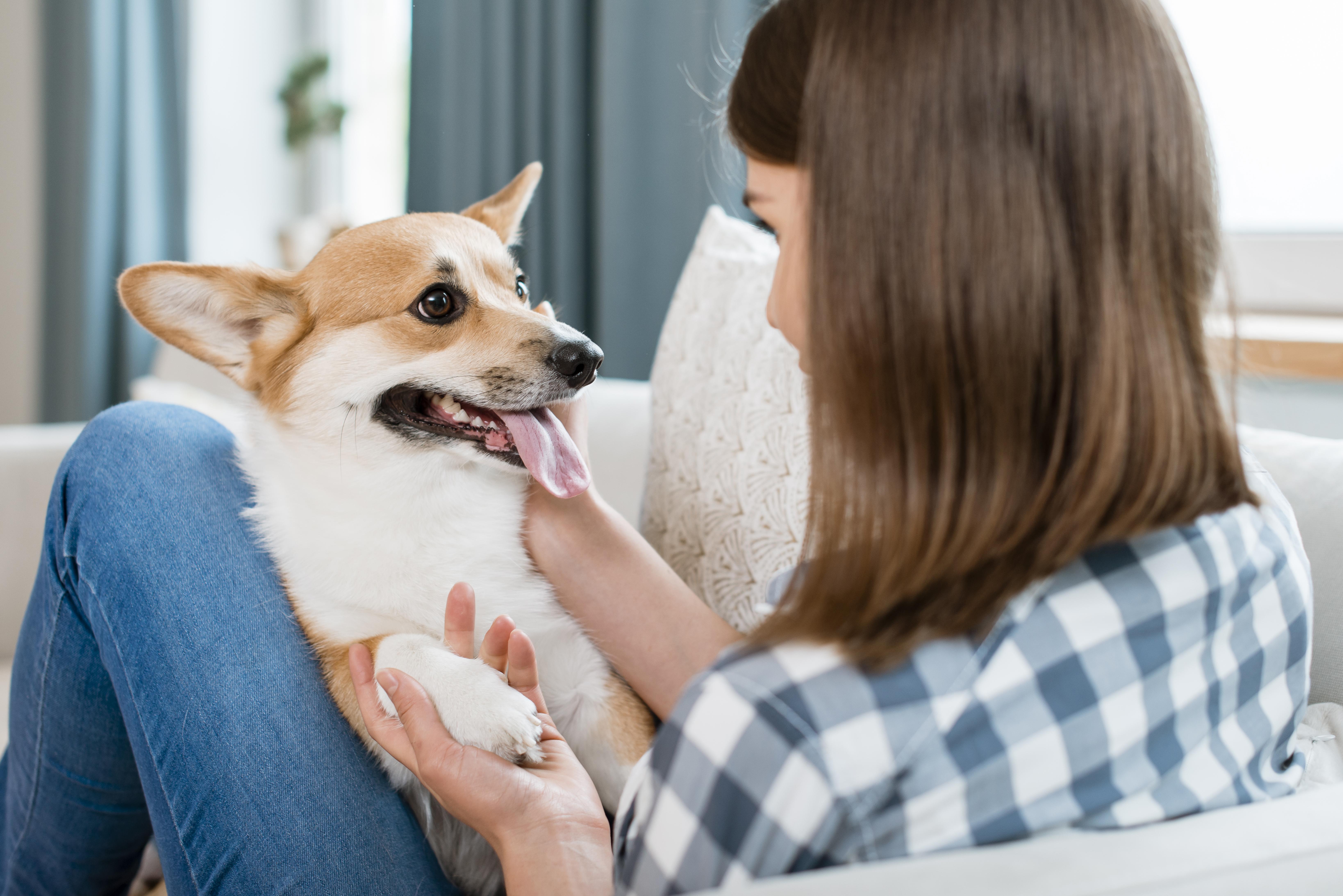 Moça conversando com um cachorro