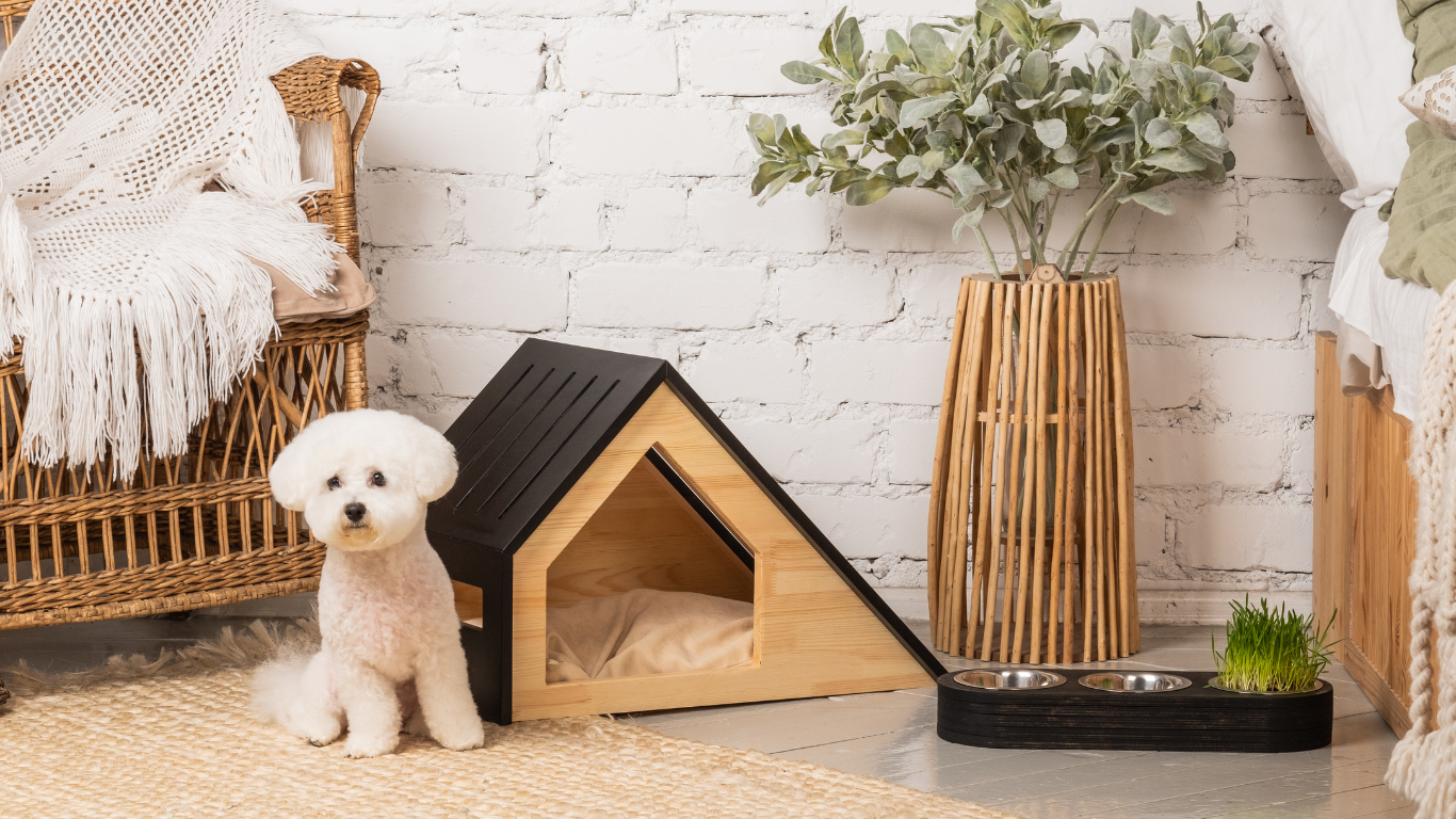 Cachorrinho parado ao lado de uma casinha de cachorro