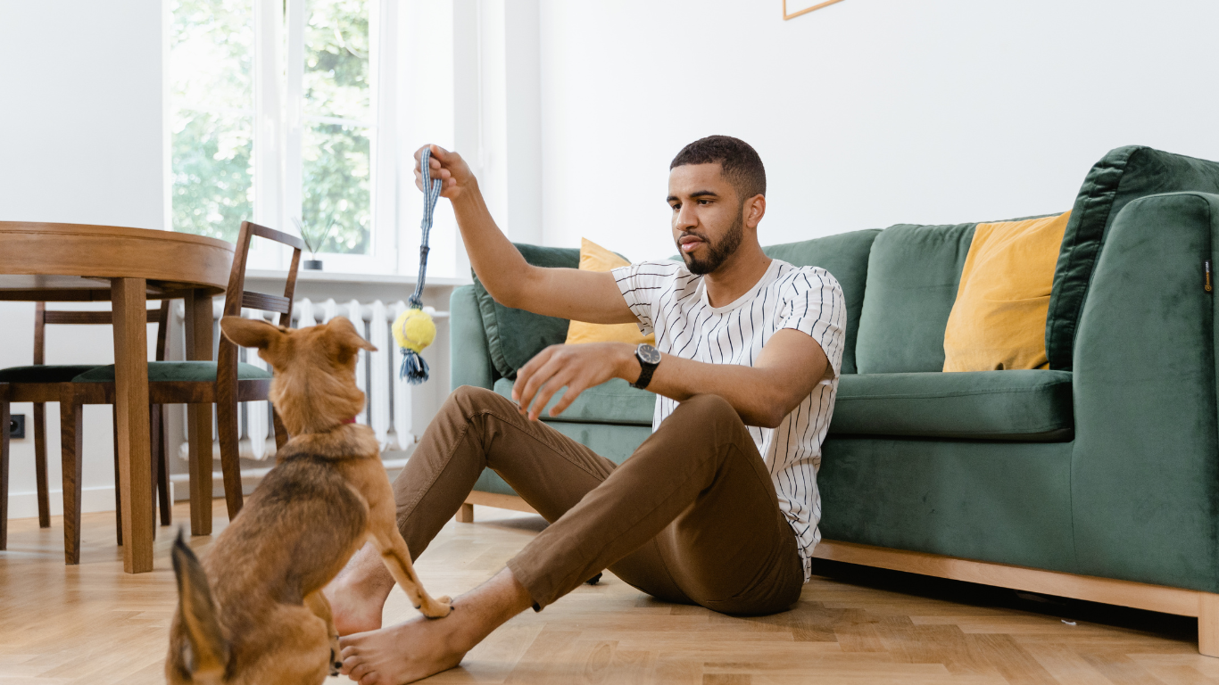 Homem sentado no chão do apartamento brincando com o cachorro